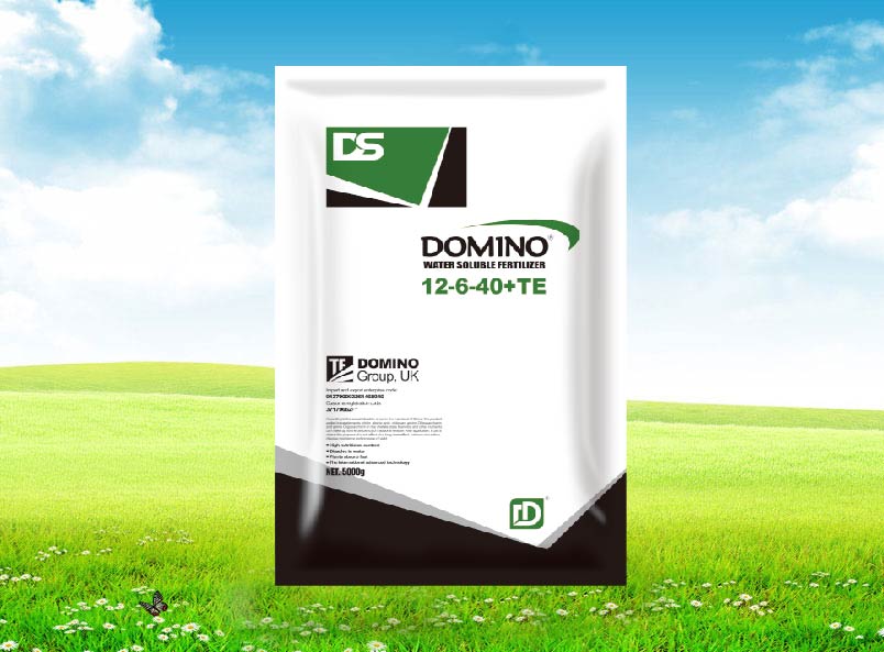多米诺大量元素水溶肥12-6-40+TE